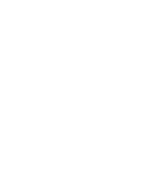 Festival Palácio para Todos